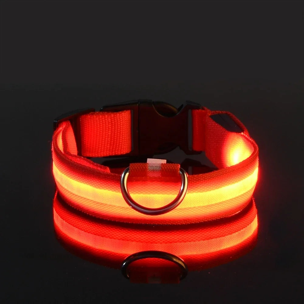 LED Flashing Glow-in-the-Dark Dog Collar