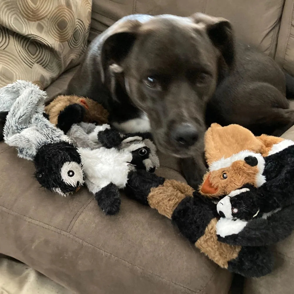 Stuffingless Animal Squeaky Dog Toy