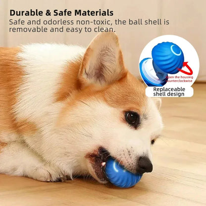 Electronic Interactive Pet Toy Ball