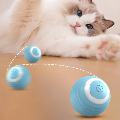 Automatic Rolling Magic Ball