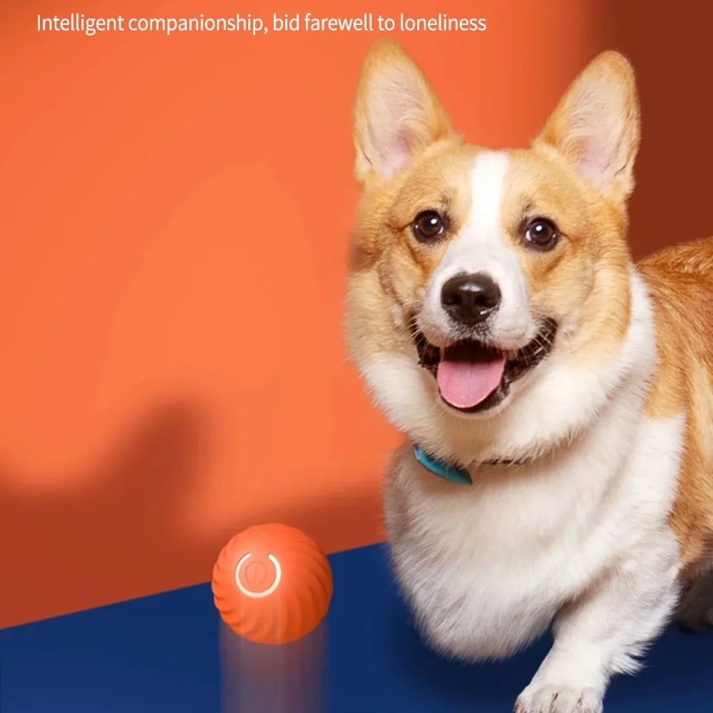 Electronic Interactive Pet Toy Ball