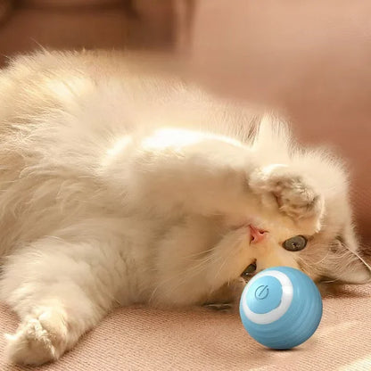 Automatic Rolling Magic Ball