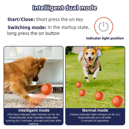 Electronic Interactive Pet Toy Ball